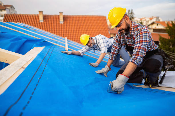 Best Rubber Roofing (EPDM, TPO)  in Brownsville, PA